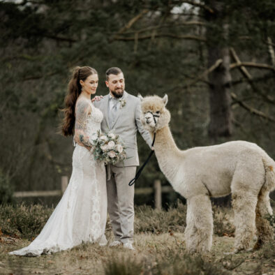 Hochzeit mit Alpakas